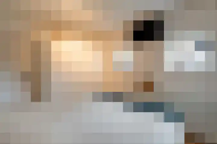 Ten Darperweg 98 Wapse thumbnail 20