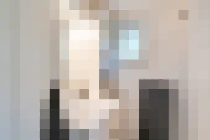 Ten Darperweg 98 Wapse thumbnail 22