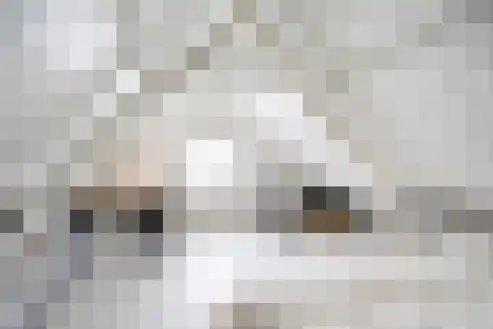 Ten Darperweg 98 Wapse thumbnail 25