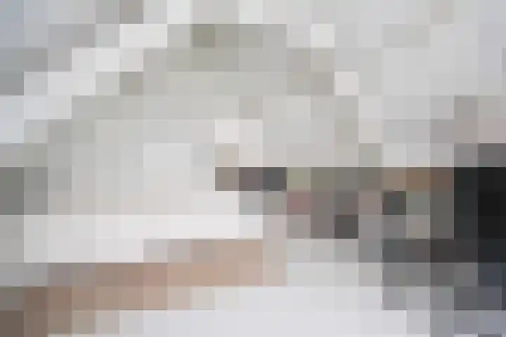 Ten Darperweg 98 Wapse thumbnail 26