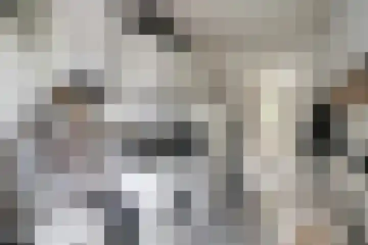 Ten Darperweg 98 Wapse thumbnail 32