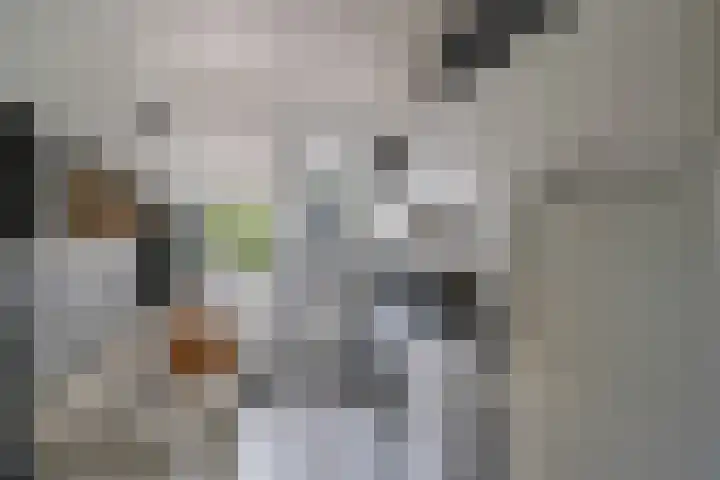 Ten Darperweg 98 Wapse thumbnail 33