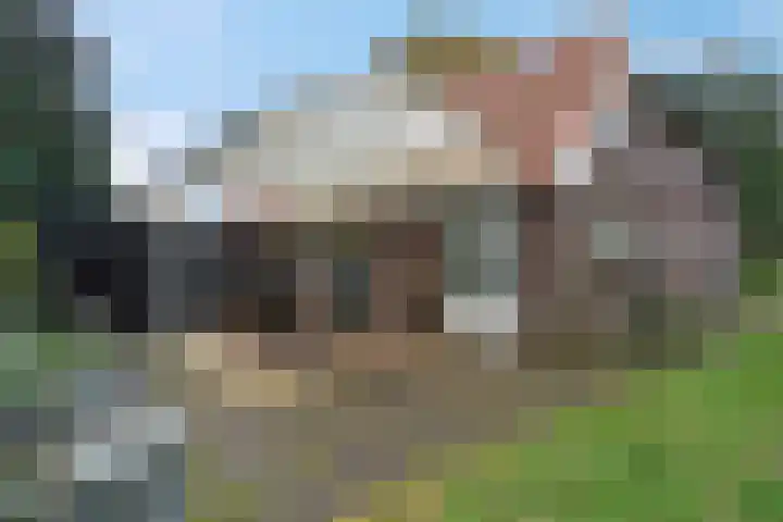 Ten Darperweg 98 Wapse thumbnail 34