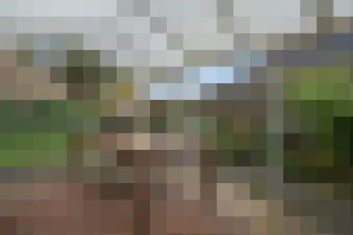 Ten Darperweg 98 Wapse thumbnail 35