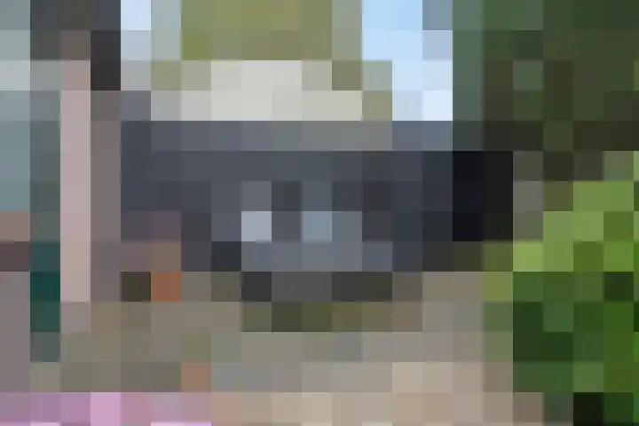 Ten Darperweg 98 Wapse thumbnail 36