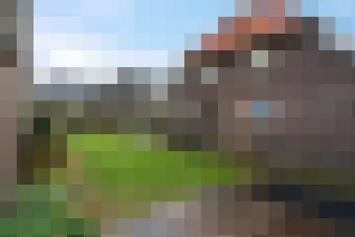 Ten Darperweg 98 Wapse thumbnail 37
