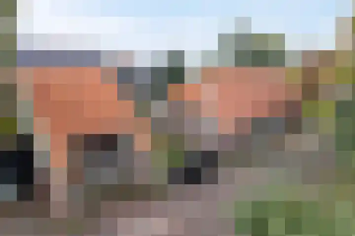 Ten Darperweg 98 Wapse thumbnail 38