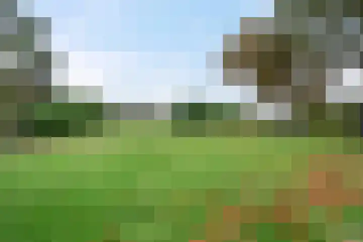 Ten Darperweg 98 Wapse thumbnail 4