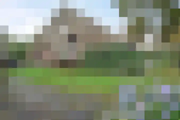 Ten Darperweg 98 Wapse thumbnail 41