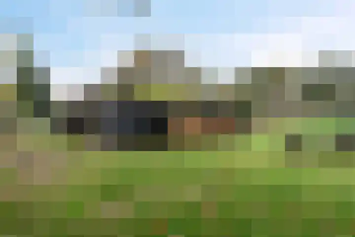 Ten Darperweg 98 Wapse thumbnail 42