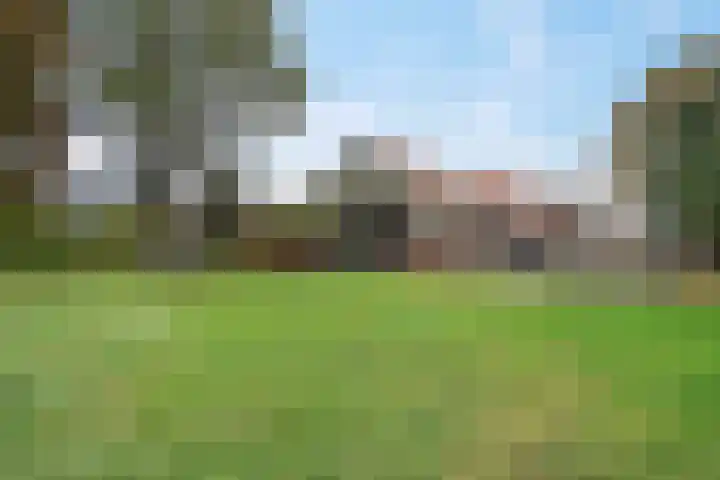 Ten Darperweg 98 Wapse thumbnail 43
