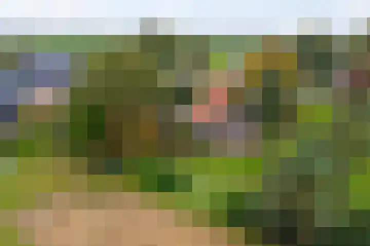 Ten Darperweg 98 Wapse thumbnail 45