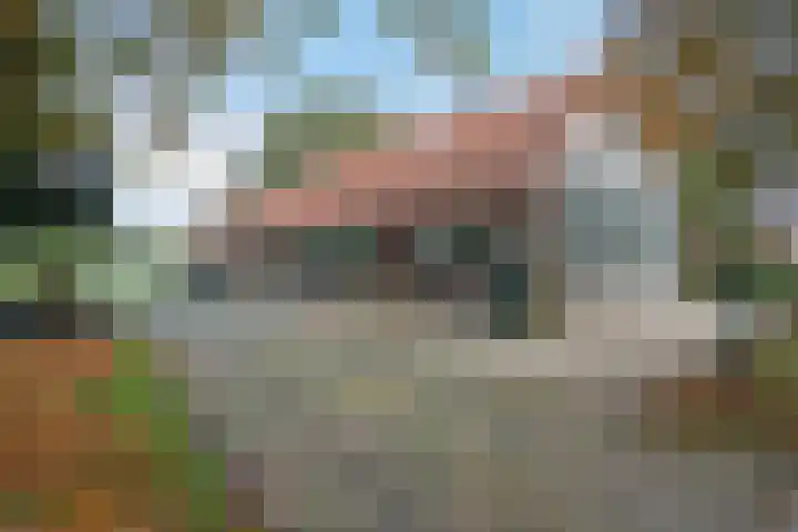 Ten Darperweg 98 Wapse thumbnail 47