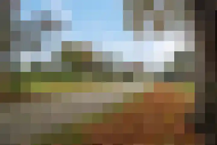 Ten Darperweg 98 Wapse thumbnail 49