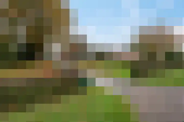 Ten Darperweg 98 Wapse thumbnail 50