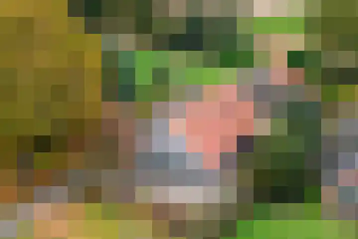 Ten Darperweg 98 Wapse thumbnail 51