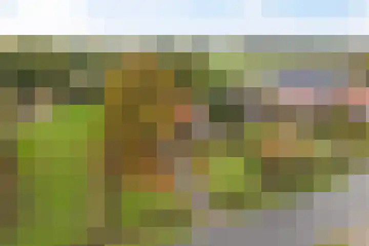 Ten Darperweg 98 Wapse thumbnail 52