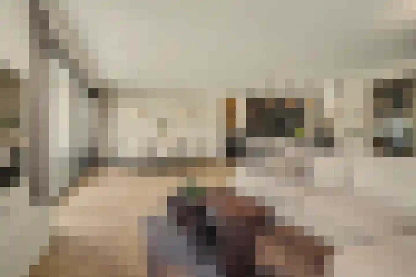 Ten Einde 12 Reusel thumbnail 11
