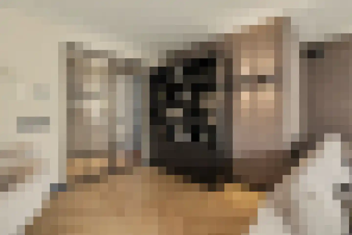 Ten Einde 12 Reusel thumbnail 13