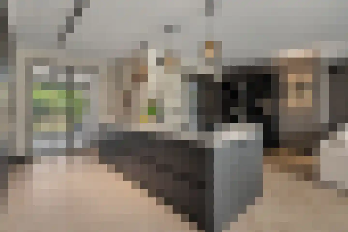 Ten Einde 12 Reusel thumbnail 20