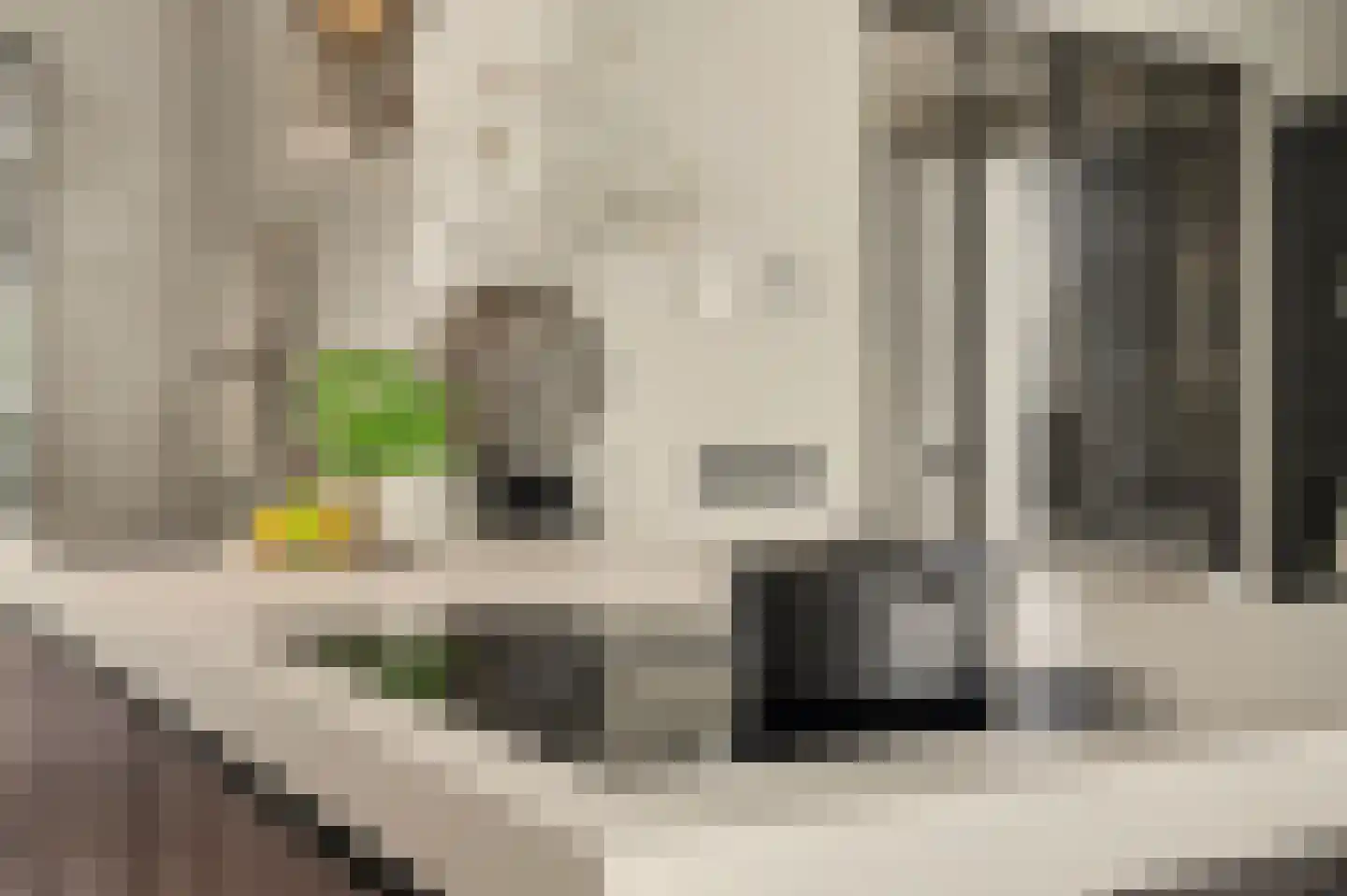 Ten Einde 12 Reusel thumbnail 21