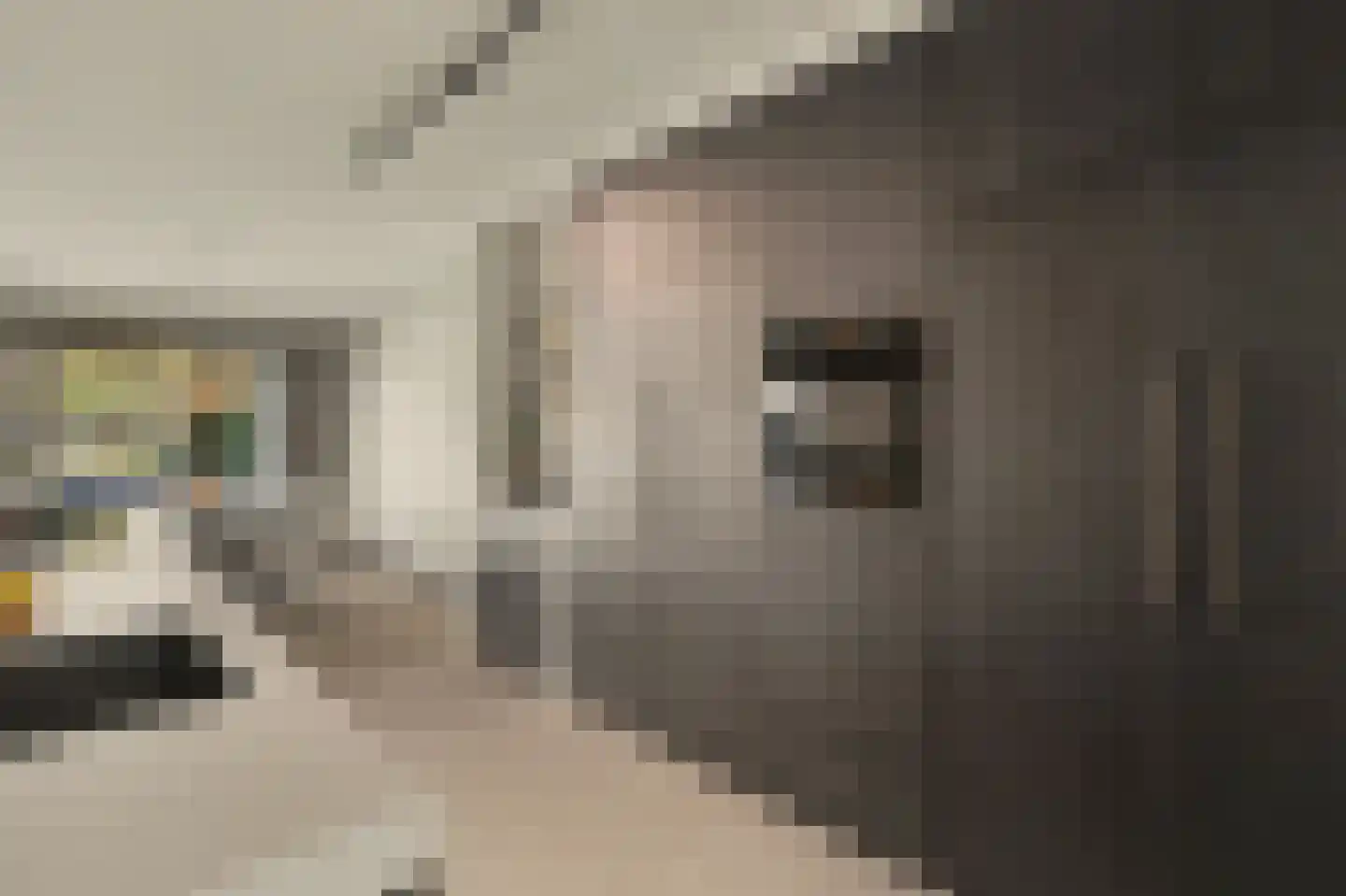 Ten Einde 12 Reusel thumbnail 24
