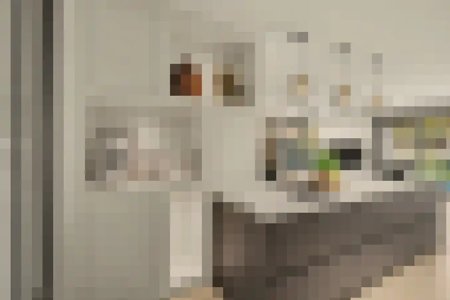 Ten Einde 12 Reusel thumbnail 25