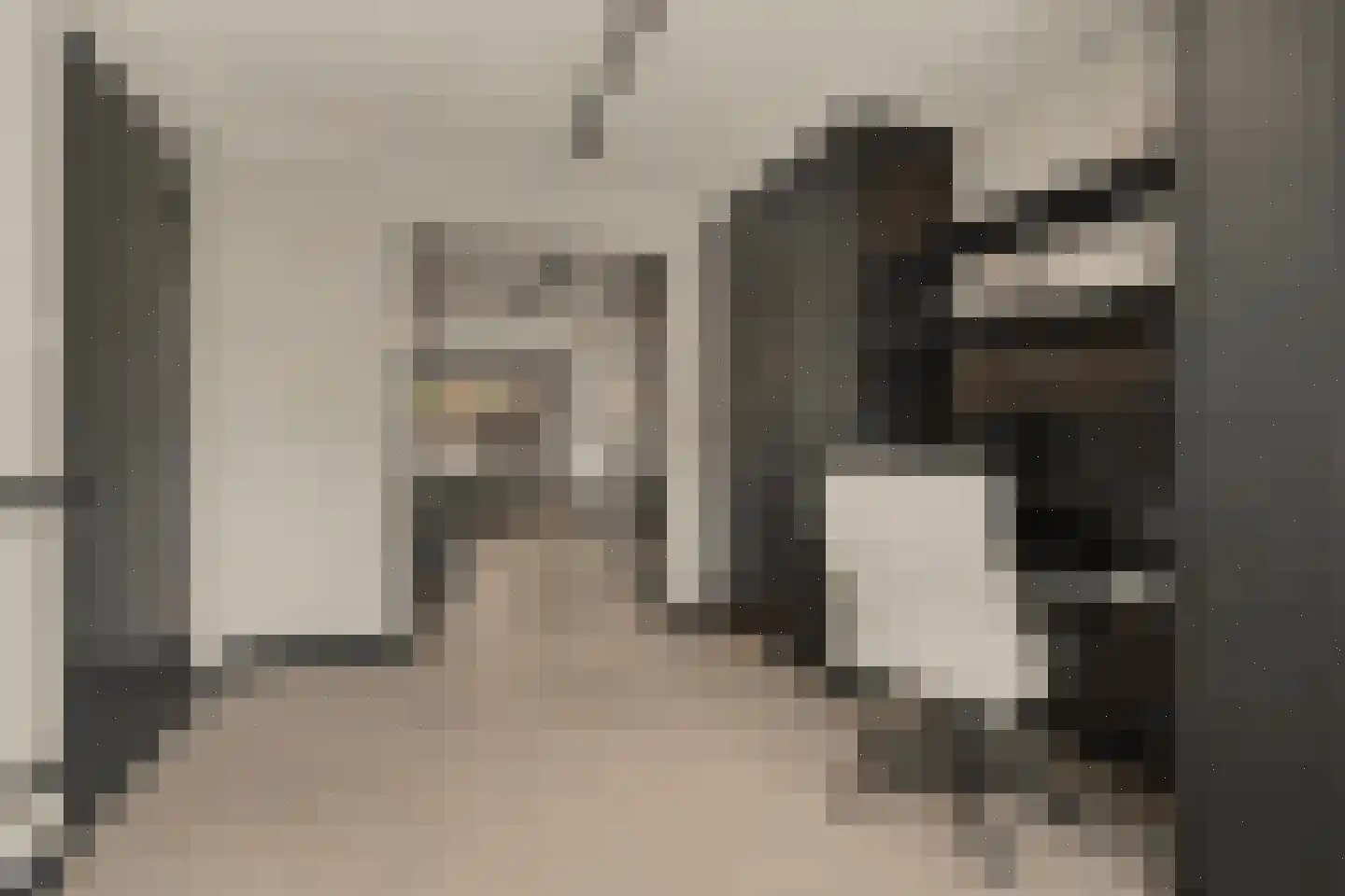 Ten Einde 12 Reusel thumbnail 29