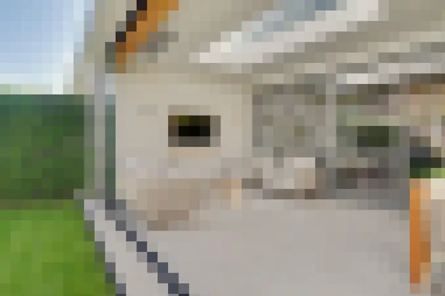 Ten Einde 12 Reusel thumbnail 33