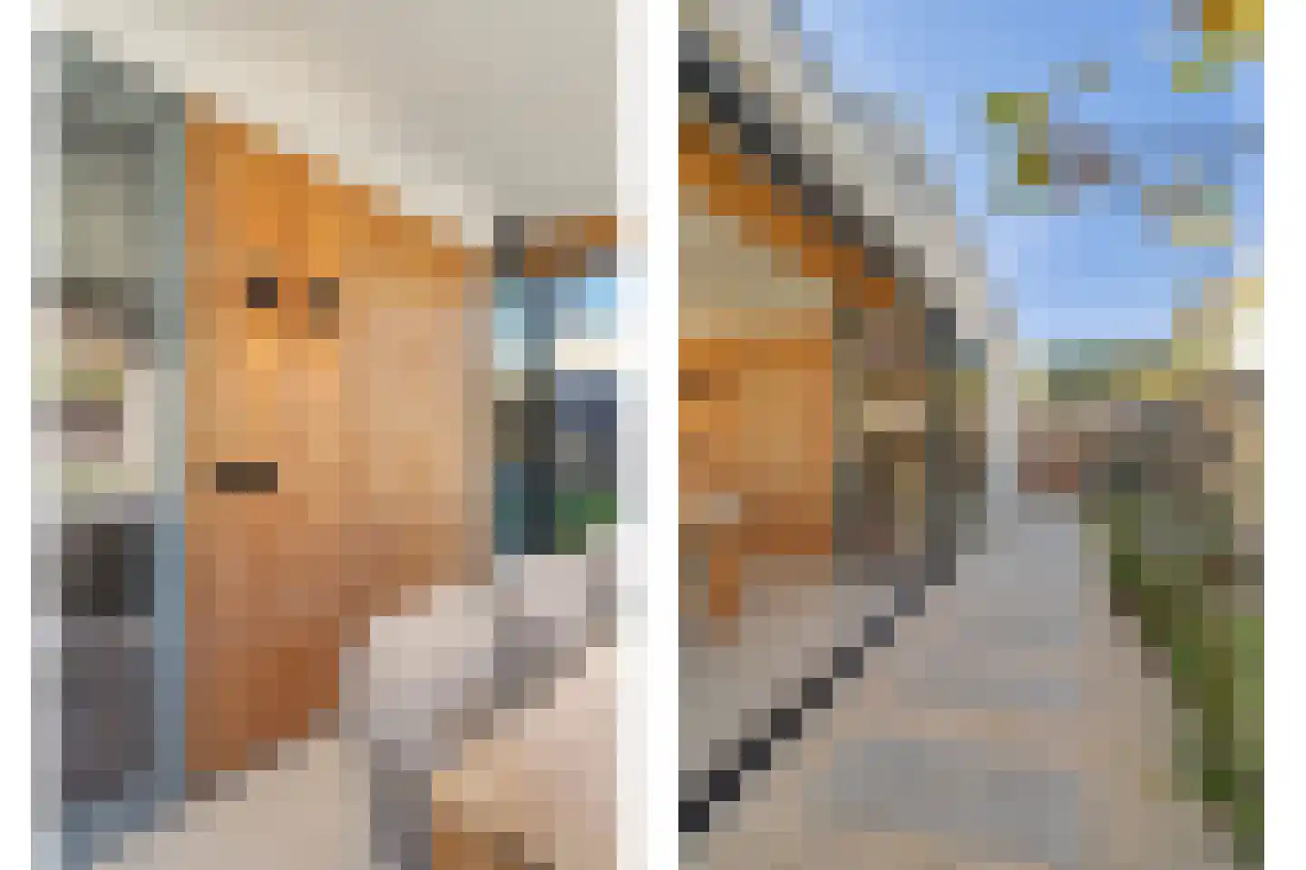 Ten Einde 12 Reusel thumbnail 34