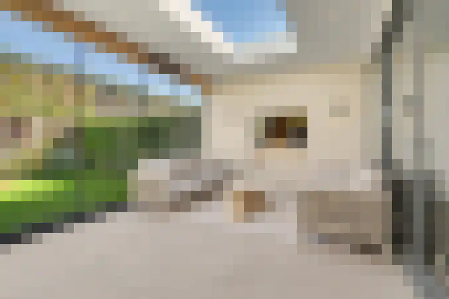 Ten Einde 12 Reusel thumbnail 39