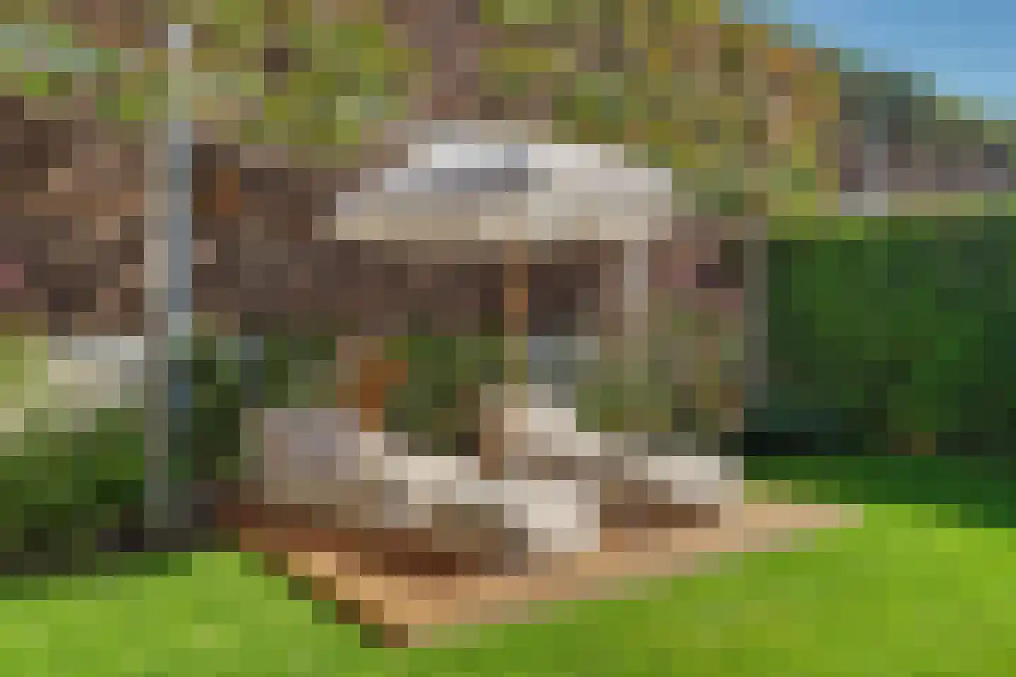 Ten Einde 12 Reusel thumbnail 58