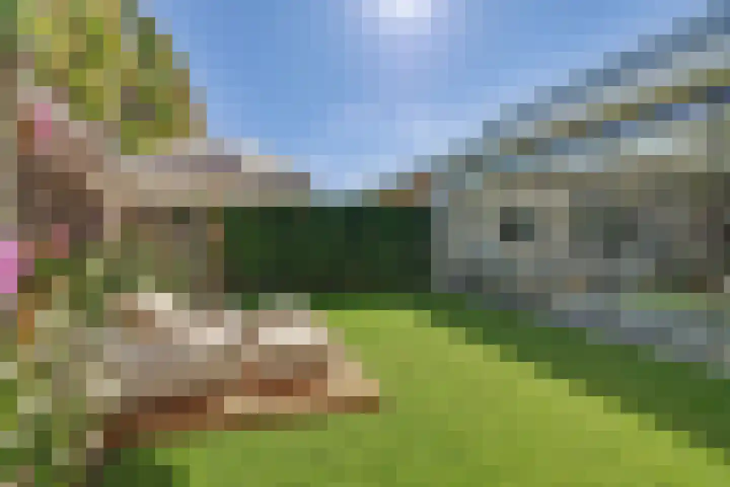 Ten Einde 12 Reusel thumbnail 60