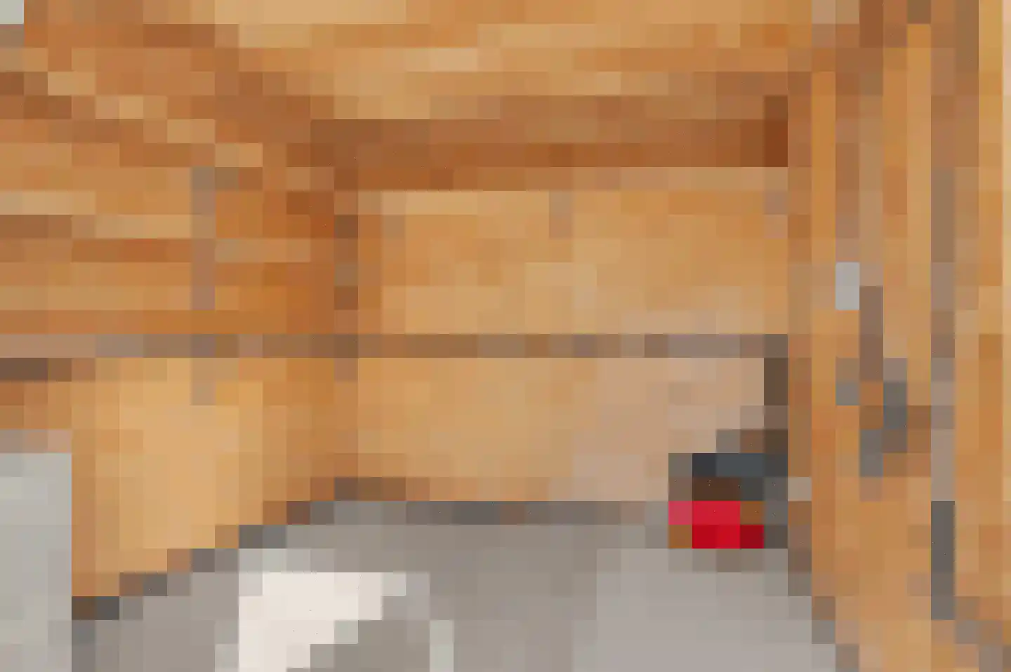 Ten Einde 12 Reusel thumbnail 67