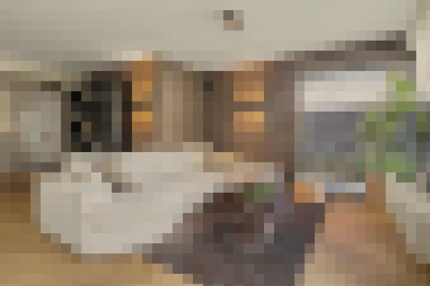 Ten Einde 12 Reusel thumbnail 9