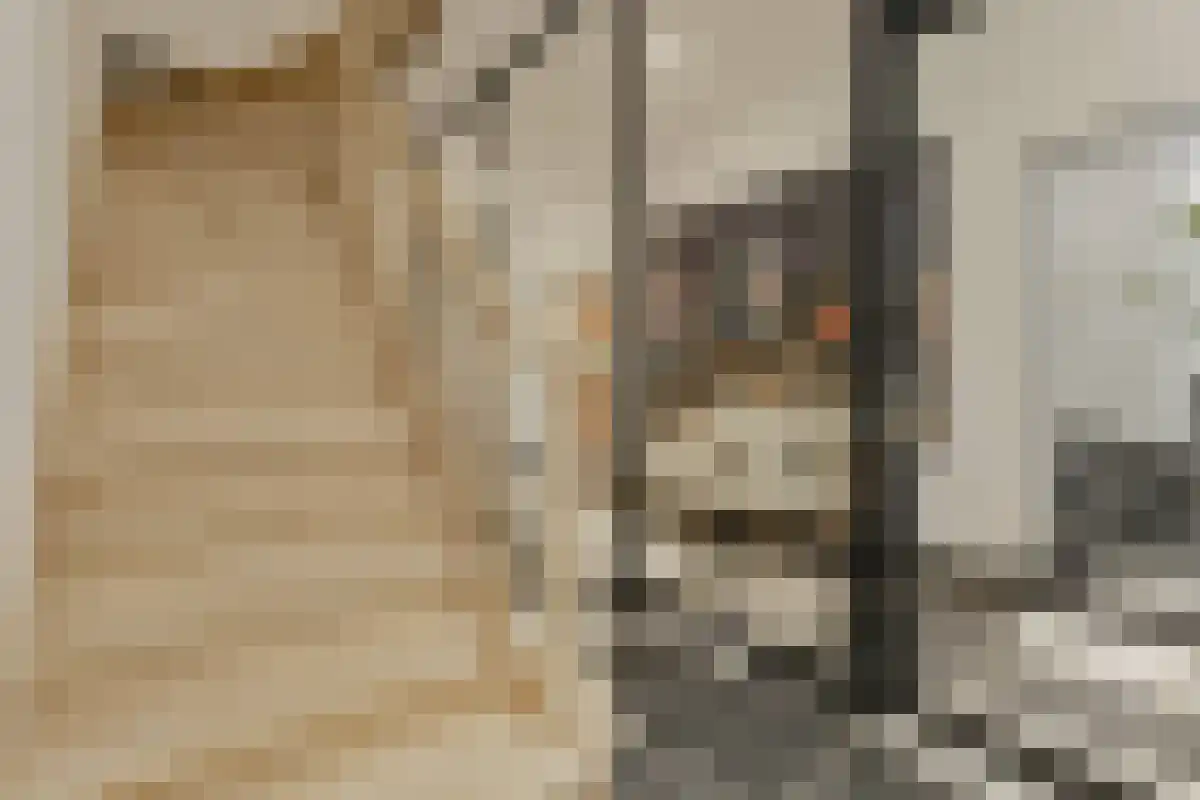 Ten Hagestraat 7 Eindhoven thumbnail 4