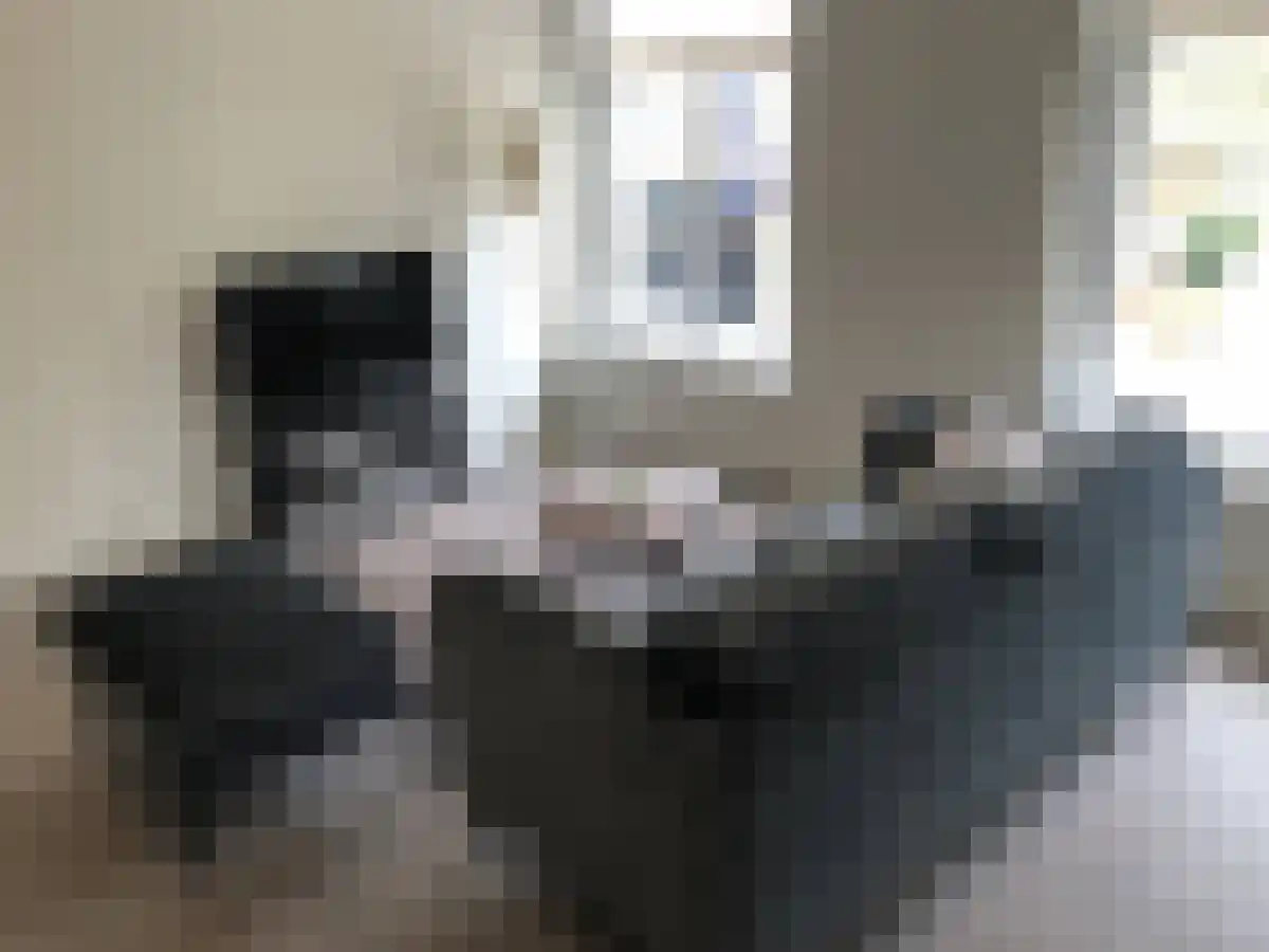 Ten Hagestraat 7 Eindhoven thumbnail 6