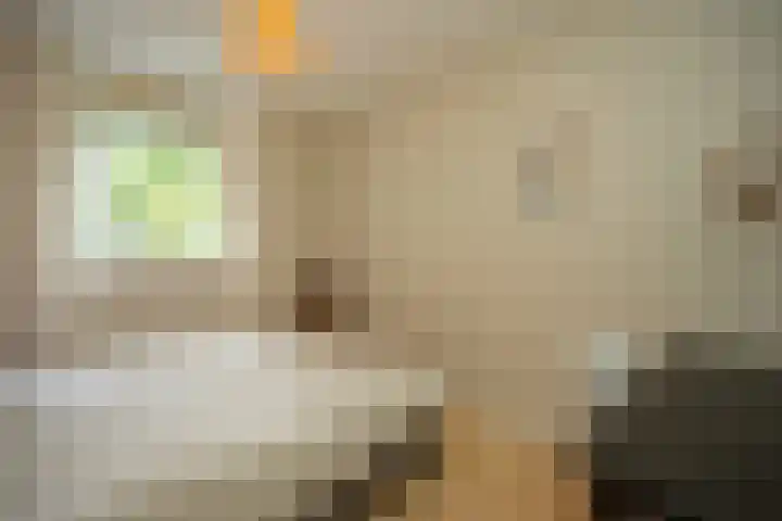 Ten Hoetstraat 10 A Nijmegen thumbnail 17