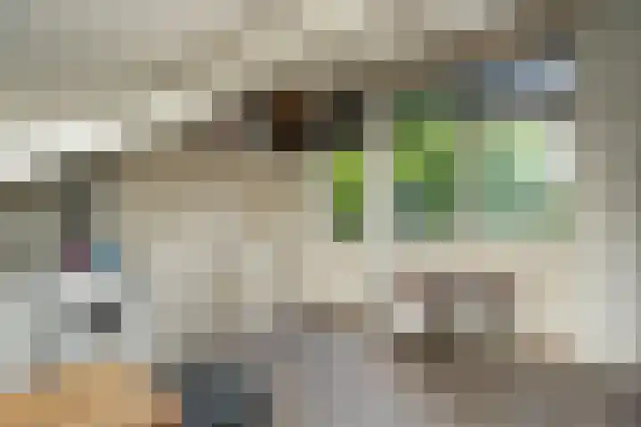 Ten Hoetstraat 10 A Nijmegen thumbnail 26