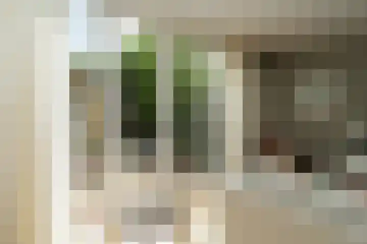 Ten Hoetstraat 10 A Nijmegen thumbnail 7
