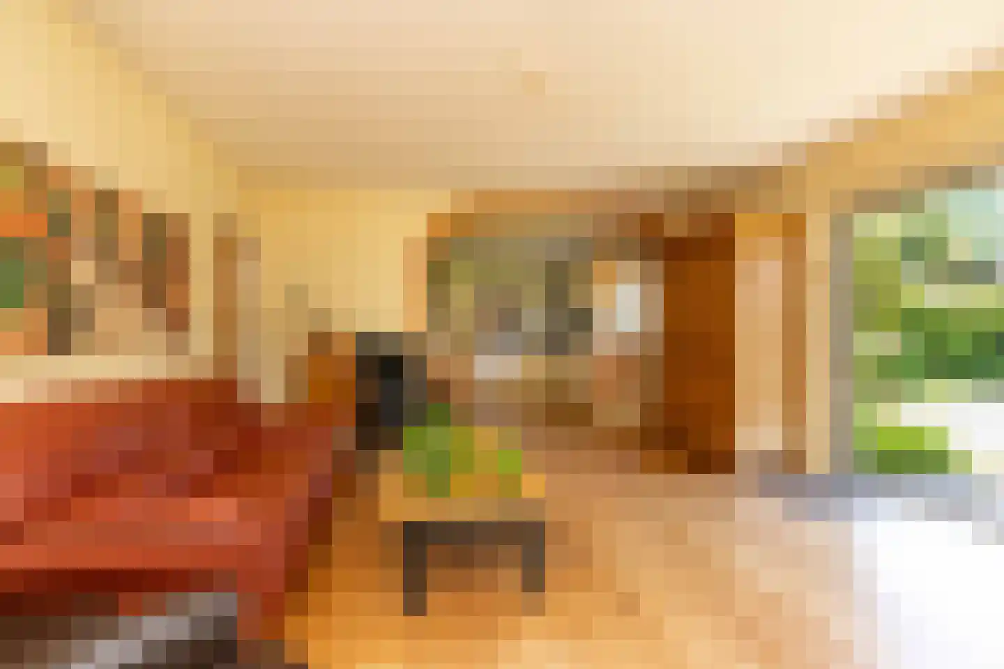 Ten Hoevestraat 13 Kerkenveld thumbnail 10