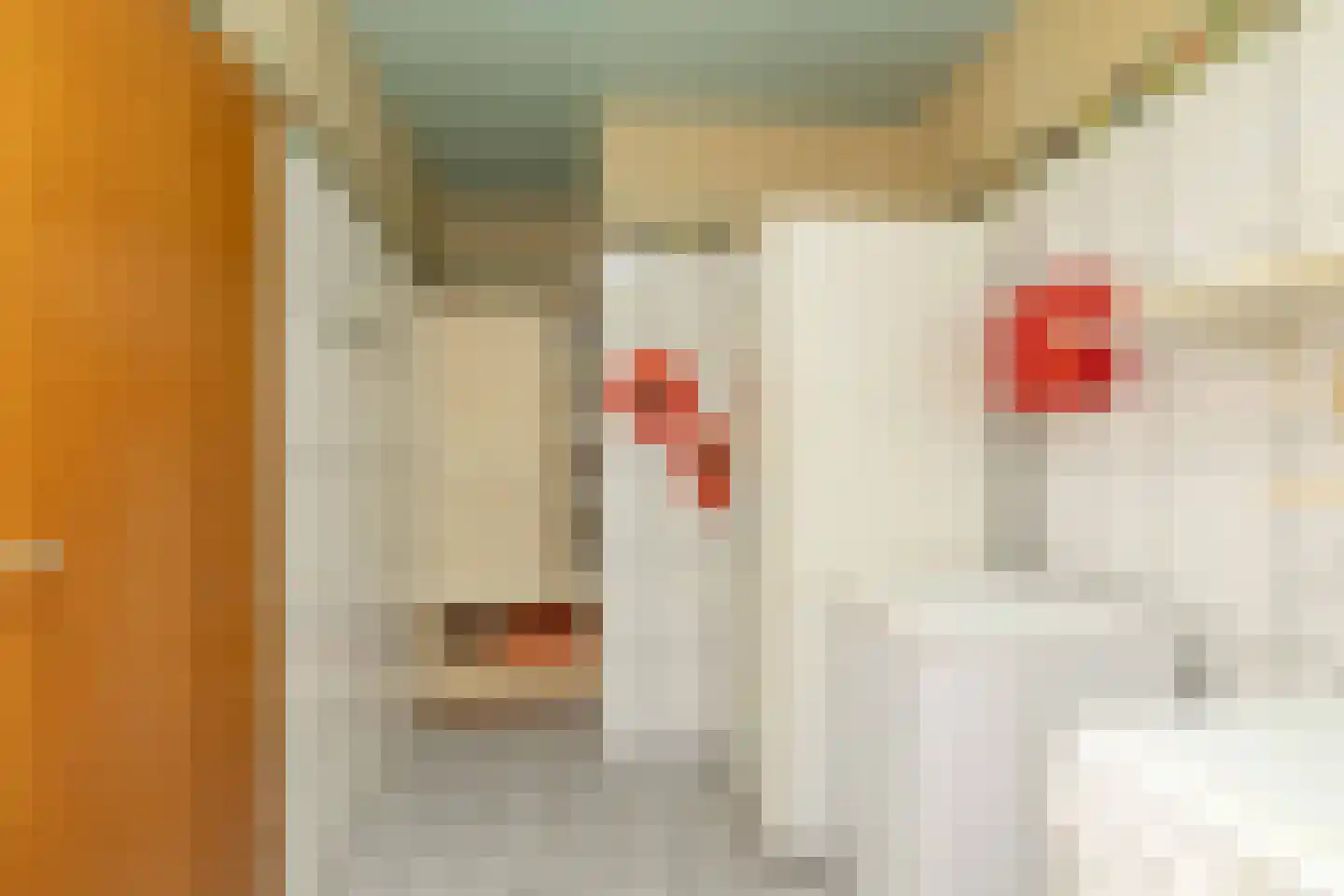 Ten Hoevestraat 13 Kerkenveld thumbnail 16