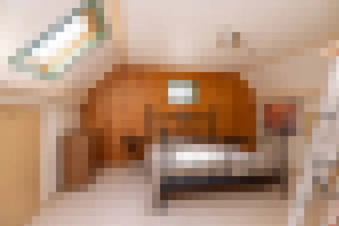 Ten Hoevestraat 13 Kerkenveld thumbnail 36