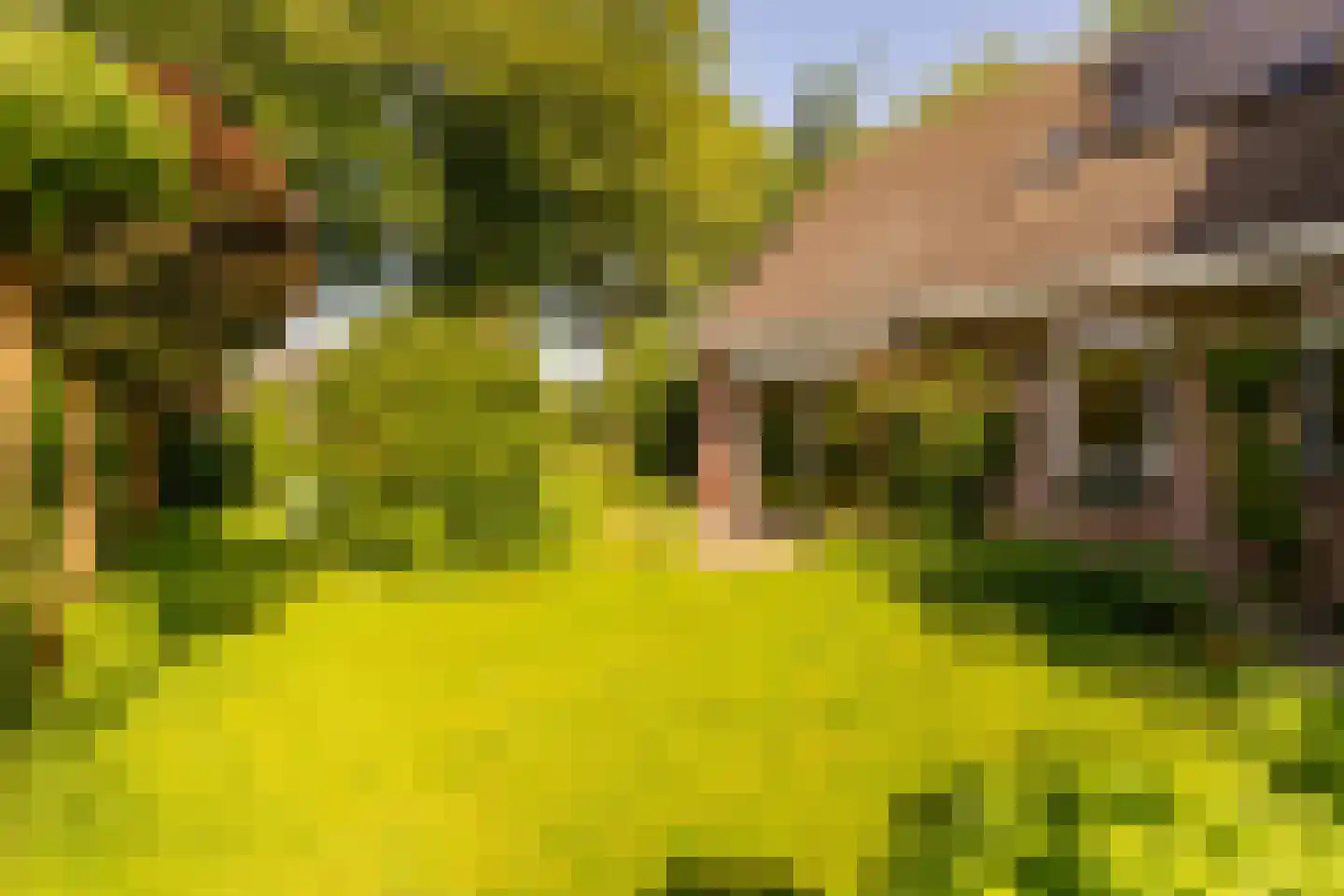 Ten Hoevestraat 13 Kerkenveld thumbnail 4