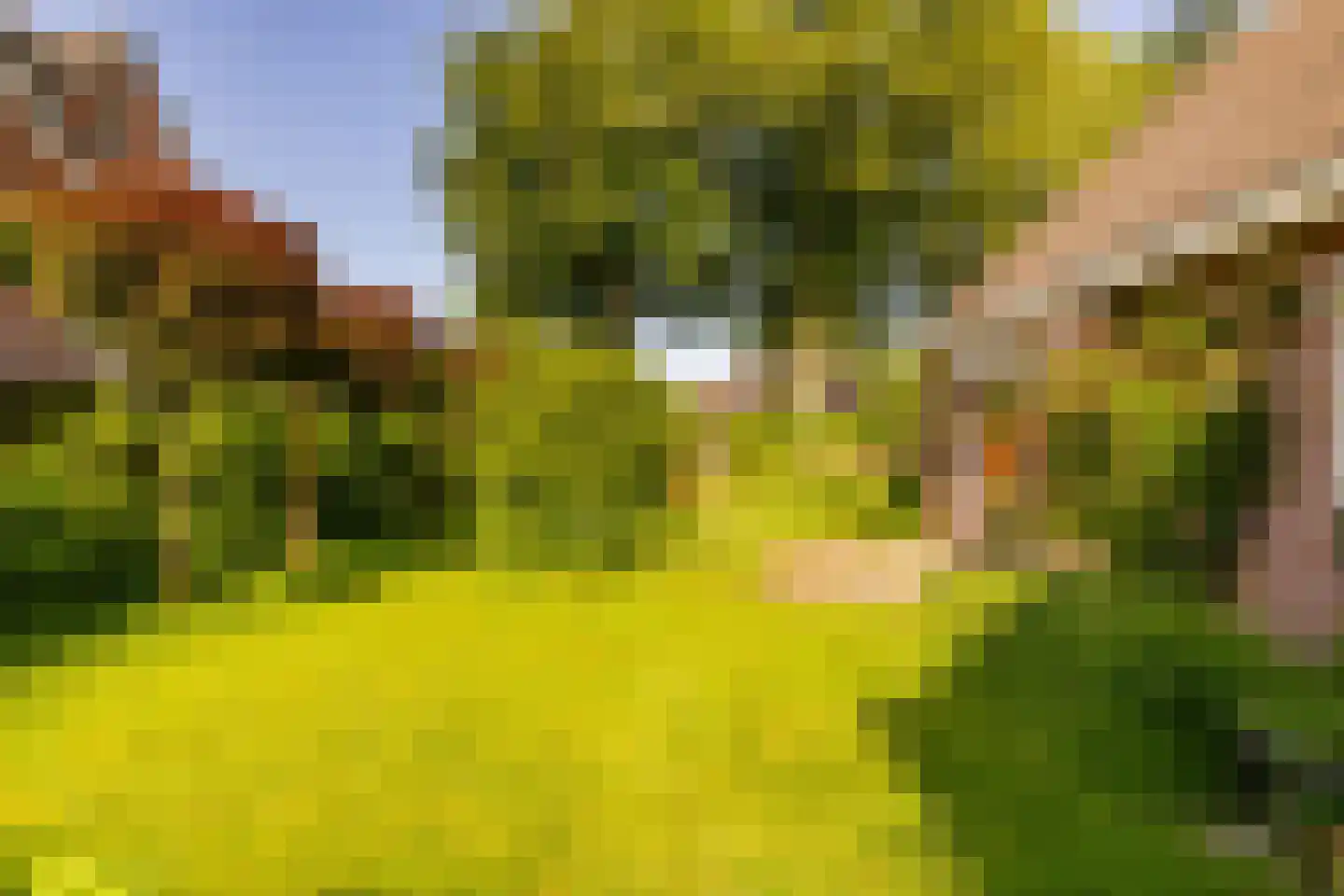 Ten Hoevestraat 13 Kerkenveld thumbnail 43