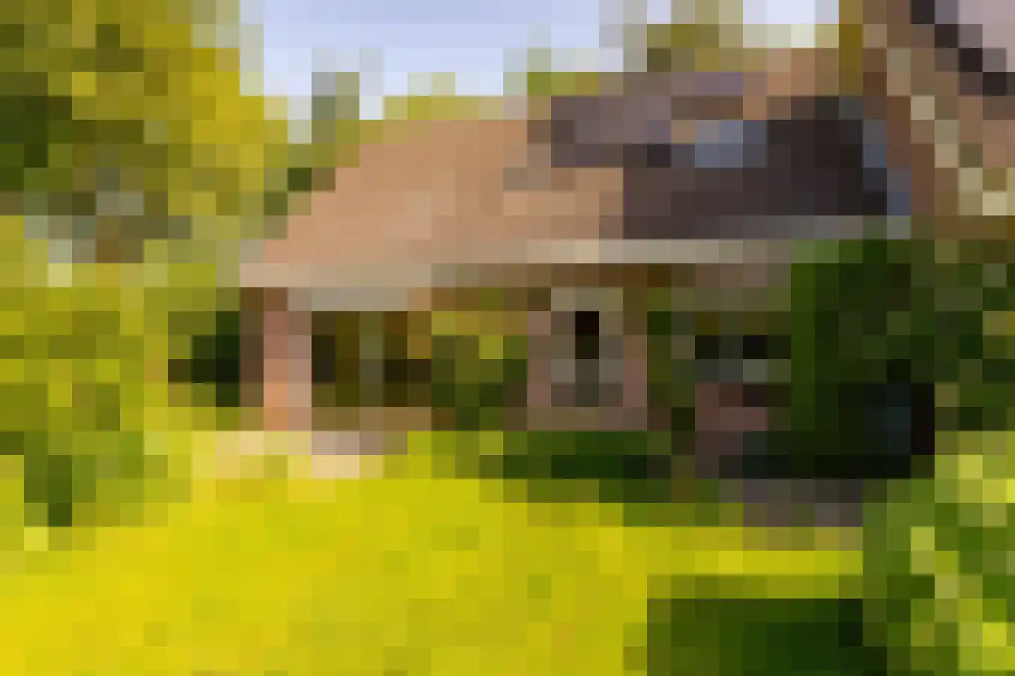 Ten Hoevestraat 13 Kerkenveld thumbnail 44