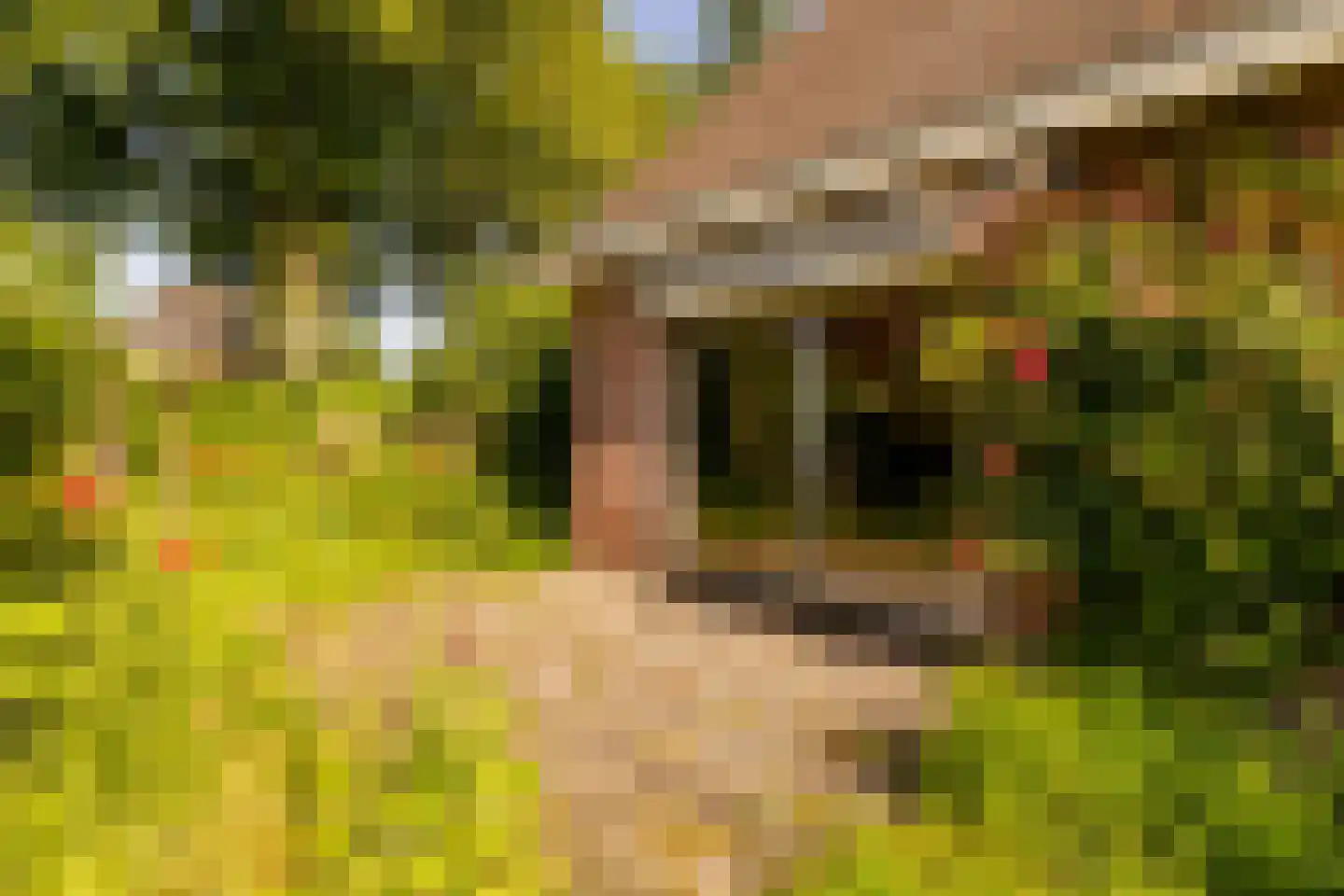 Ten Hoevestraat 13 Kerkenveld thumbnail 45