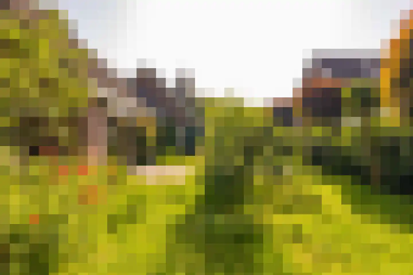 Ten Hoevestraat 13 Kerkenveld thumbnail 48