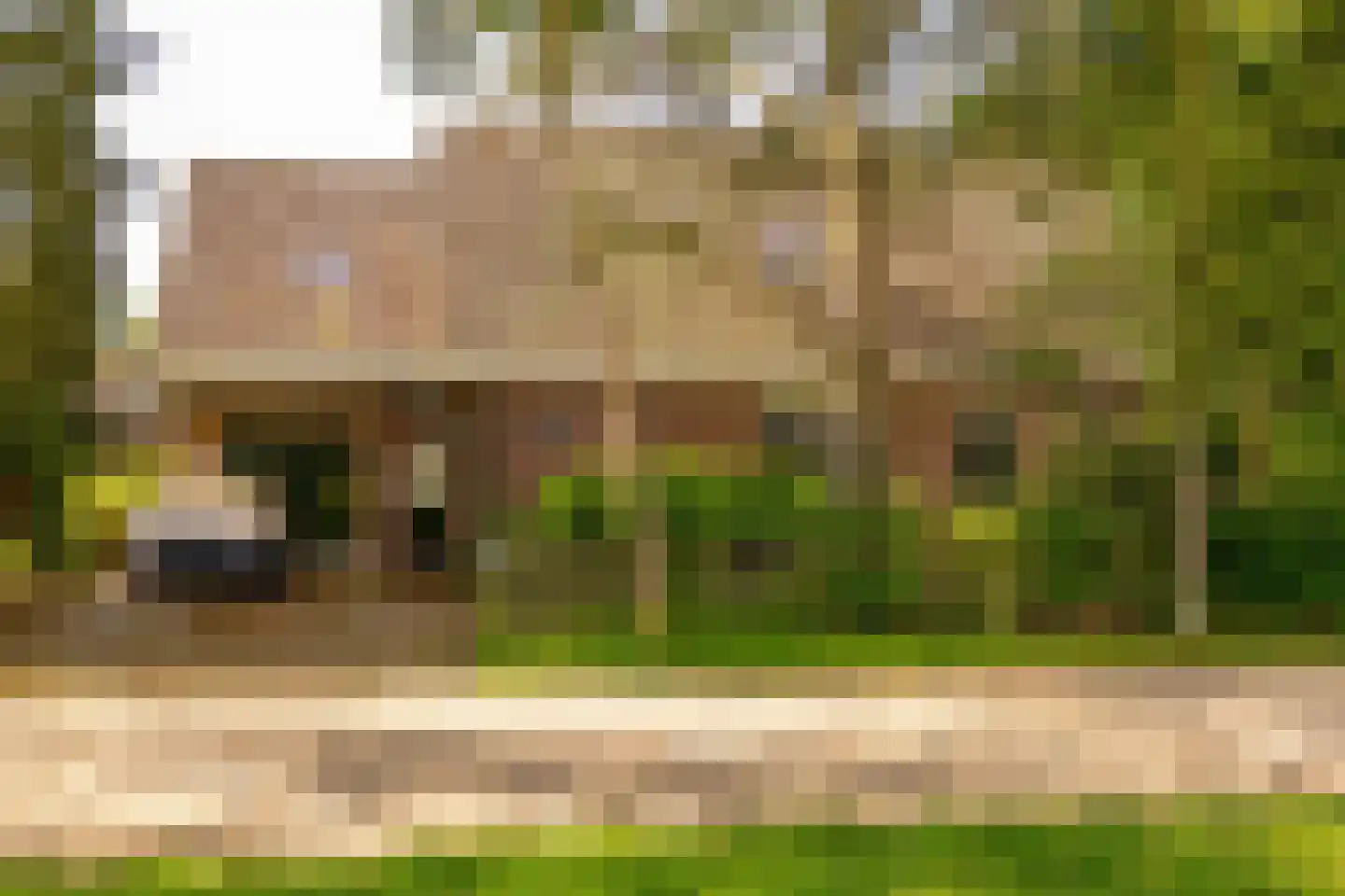 Ten Hoevestraat 13 Kerkenveld thumbnail 5