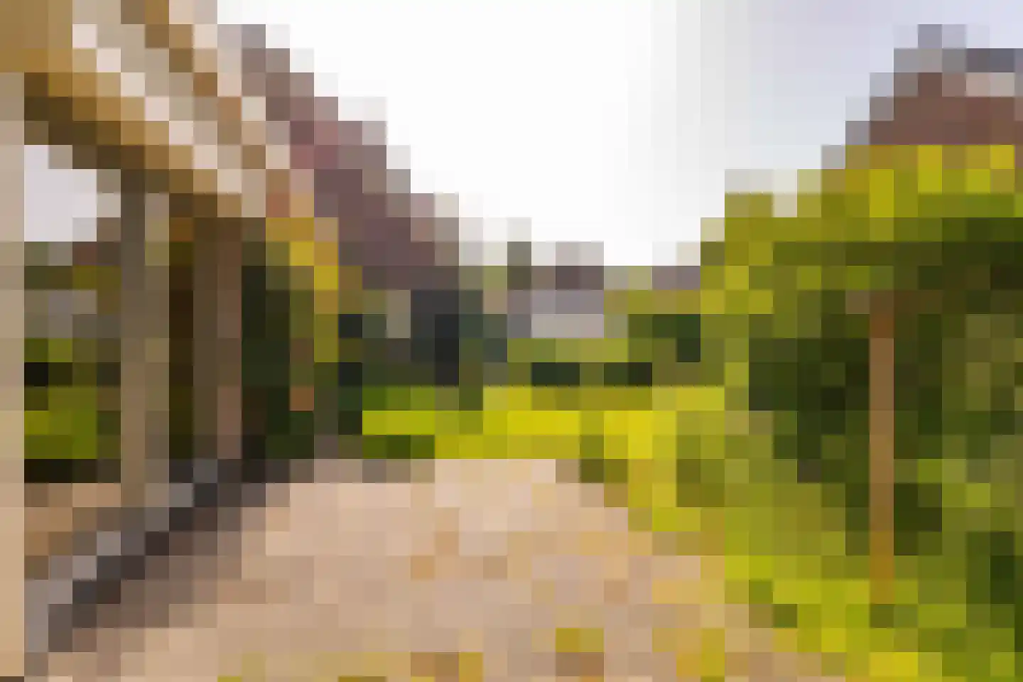 Ten Hoevestraat 13 Kerkenveld thumbnail 50
